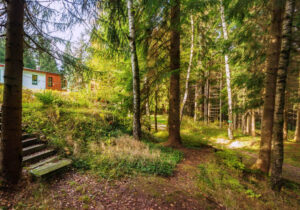 Pension Garni zur Försterei in Jägergrün im Erzgebirge / Vogtland - www.zur-foersterei.de - Urlaub im im Erzgebirge / Vogtland