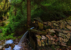 Pension Garni zur Försterei in Jägergrün im Erzgebirge / Vogtland - www.zur-foersterei.de - Urlaub im im Erzgebirge / Vogtland