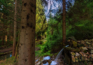 Pension Garni zur Försterei in Jägergrün im Erzgebirge / Vogtland - www.zur-foersterei.de - Urlaub im im Erzgebirge / Vogtland