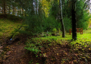 Pension Garni zur Försterei in Jägergrün im Erzgebirge / Vogtland - www.zur-foersterei.de - Urlaub im im Erzgebirge / Vogtland