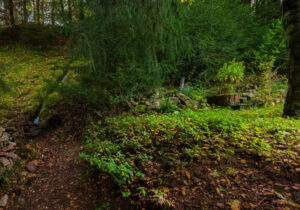 Pension Garni zur Försterei in Jägergrün im Erzgebirge / Vogtland - www.zur-foersterei.de - Urlaub im im Erzgebirge / Vogtland