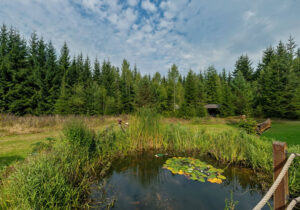 Pension Garni zur Försterei in Jägergrün im Erzgebirge / Vogtland - www.zur-foersterei.de - Urlaub im im Erzgebirge / Vogtland