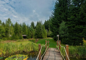 Pension Garni zur Försterei in Jägergrün im Erzgebirge / Vogtland - www.zur-foersterei.de - Urlaub im im Erzgebirge / Vogtland