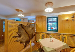 Pension Garni zur Försterei in Jägergrün im Erzgebirge / Vogtland - www.zur-foersterei.de - Urlaub im im Erzgebirge / Vogtland