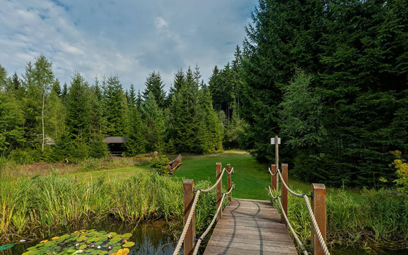 Pension Garni zur Försterei in Jägergrün im Erzgebirge / Vogtland - www.zur-foersterei.de - Urlaub im im Erzgebirge / Vogtland